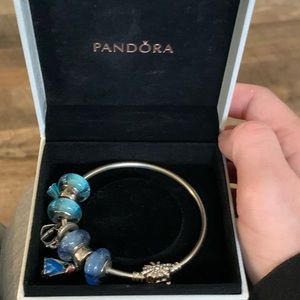 Disney Frozen Pandora Bracelet and Charms